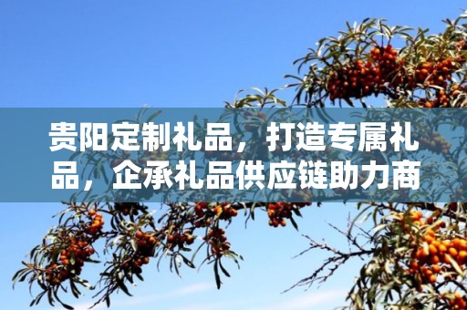 贵阳定制礼品，打造专属礼品，企承礼品供应链助力商务推广