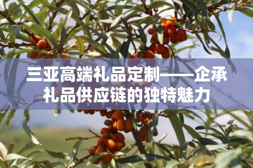 三亚高端礼品定制——企承礼品供应链的独特魅力