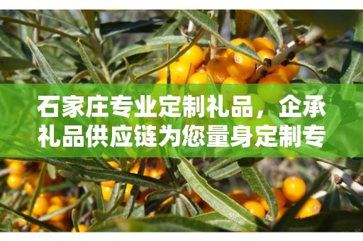 石家庄专业定制礼品，企承礼品供应链为您量身定制专属礼品
